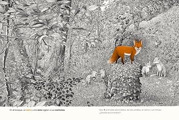 En el bosque: busca y encuentra 100 animales (Spanish Edition)