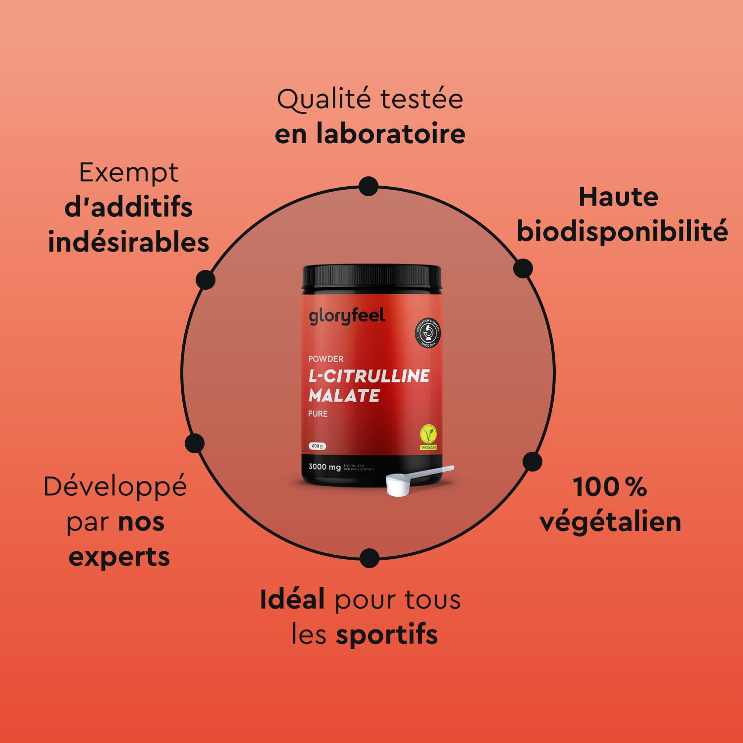 L-Citrulline Malate 2:1 en Poudre 100% Pure, Acide Aminé Hautement Dosé, 3000 mg de Citrulline par Dose Quotidienne (125 Portions), Booster Musculation et Fitness, Testé en Laboratoire, Vegan