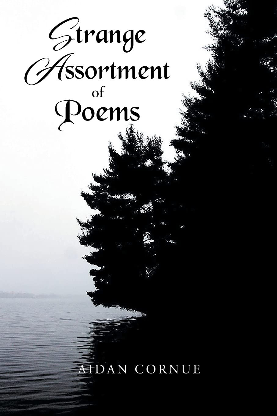 Strange Assortment of Poems