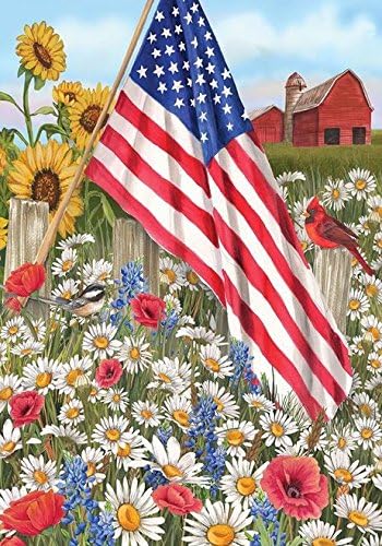 Dtzzou Patriotic Garden Flag 12" x 18" - 4th of July Garden Flag Outdoor & Indoor Decorative Double Sided Flag for Spring Summer Yard Deocr
