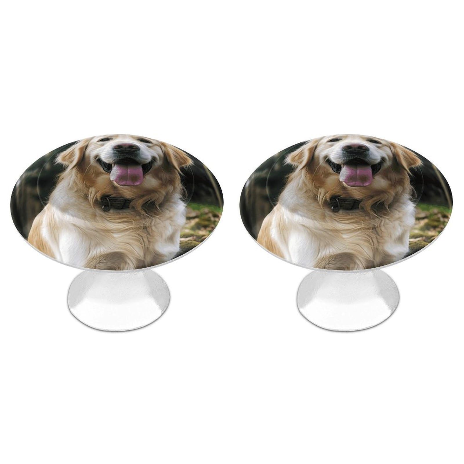 Vstadank Style Funny Golden Retriever Drawer Pulls Sturdy Stainless Steel Door Handle Round Cabinet Knobs Fashion Dresser Drawer Knobs Door Pulls Exquisite Cabinet Handles Furniture Pull 2Pcs