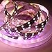 Alarmpore 16.4FT Double Row 5050 RGBWW RGB Warm White LED Strip Rope 5M 600Leds SMD Flexible Tape Light 120Leds/M 12V DC Non-Waterproof Lamp for Home Holiday Wedding Decoration