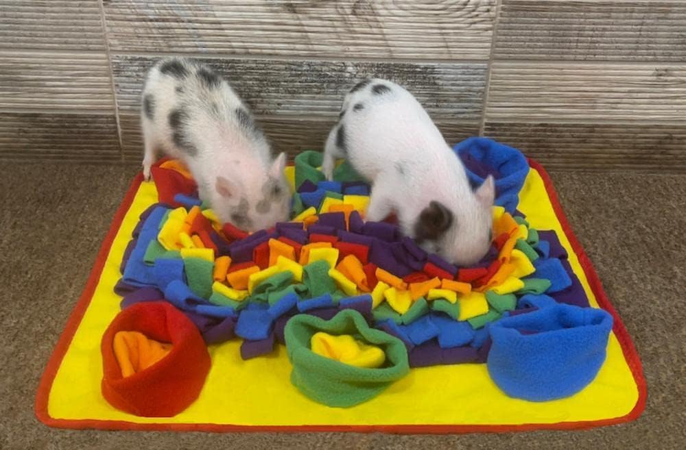 Interactive Dog Snuffle Mat for Mental Stimulation and Enrichment for Dogs, Pigs, Rabbits, and Other Pets (Rainbow)