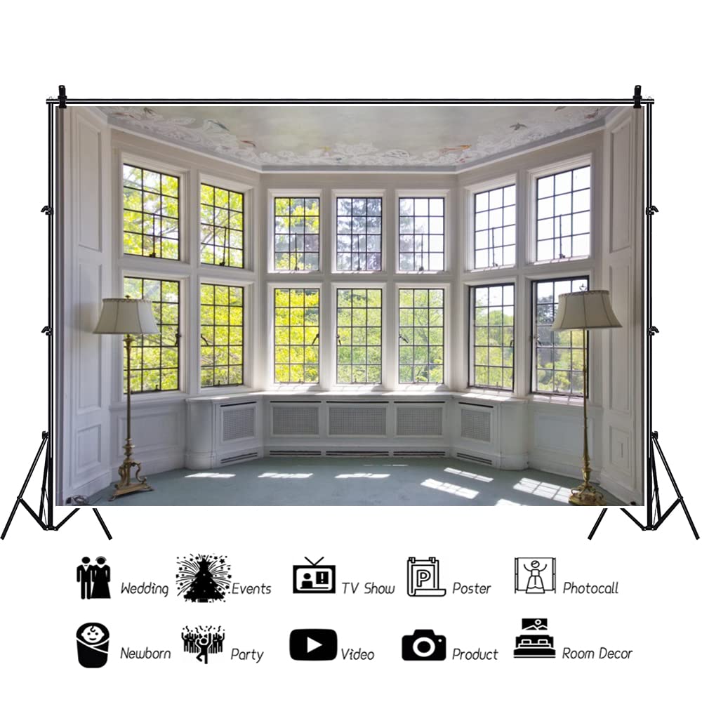 YongFoto 3x2,5m Vinile Sfondo Fotografico Interni Europeo Costruzione French Sash Sunshine Nature Autunno Fondale Foto Festa Bambini Boby Nozze Adulto Partito Studio Fotografico Puntelli