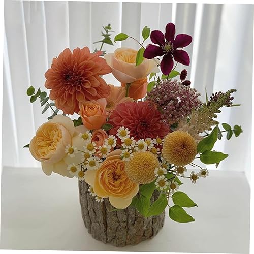 Miniatura 9 de Uonlytech 6 piezas de corteza de flores, cubo de tocón de árbol, maceta rústica, maceta de tronco, maceta de barril, maceta para suculentas, maceta
