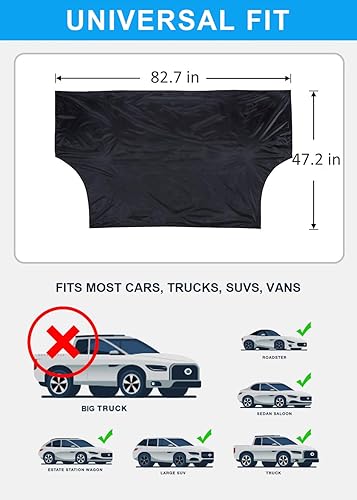 Miniatura 3 de Sukceso