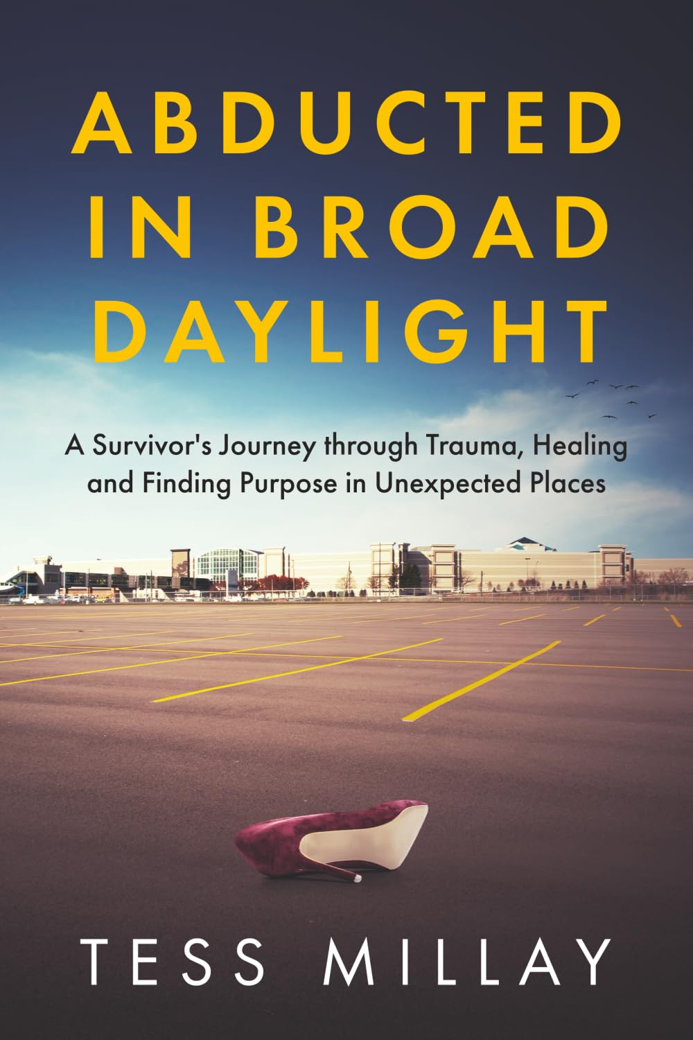 Abducted in Broad Daylight: A Survivor's Journey through Trauma, Healing and Finding Purpose in Unexpected Places