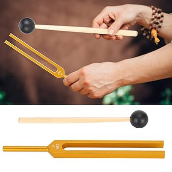 音叉のセット Amazon.co.jp: 音叉セット、9個174/285/396/417/528/639/741/852