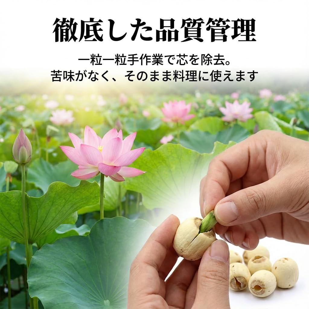 Amazon.co.jp: JQ 蓮の実 ハスの実 莲子 無農薬 乾燥ドライ 食用 500g