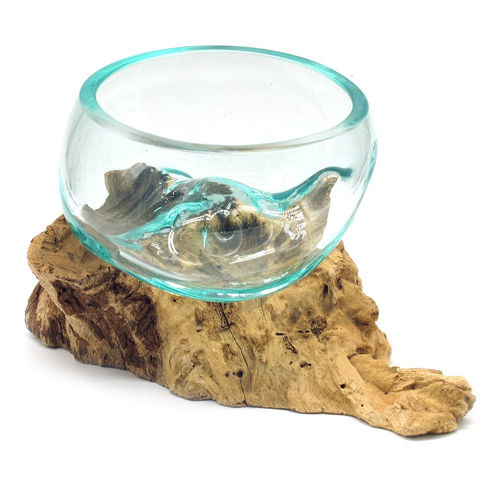 Wurzel mit Glasschale klein Schale Dekoschale Glas auf Holz Durchmesser 12-13 cm Holzdeko Teakholz Deko