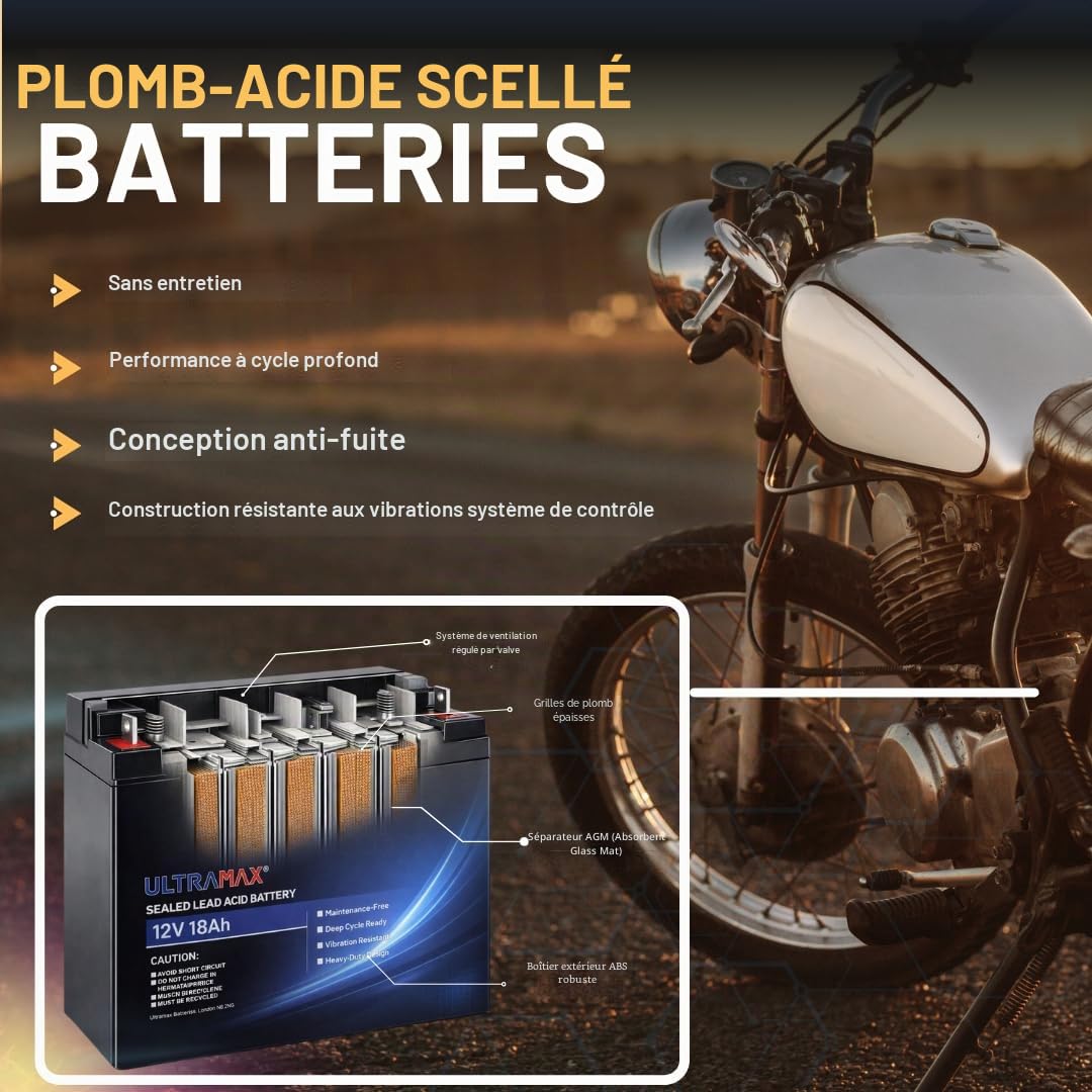 Ultramax Motorcycle Battery YTX14-BS 12V 12Ah (TTX14-BS) AGM