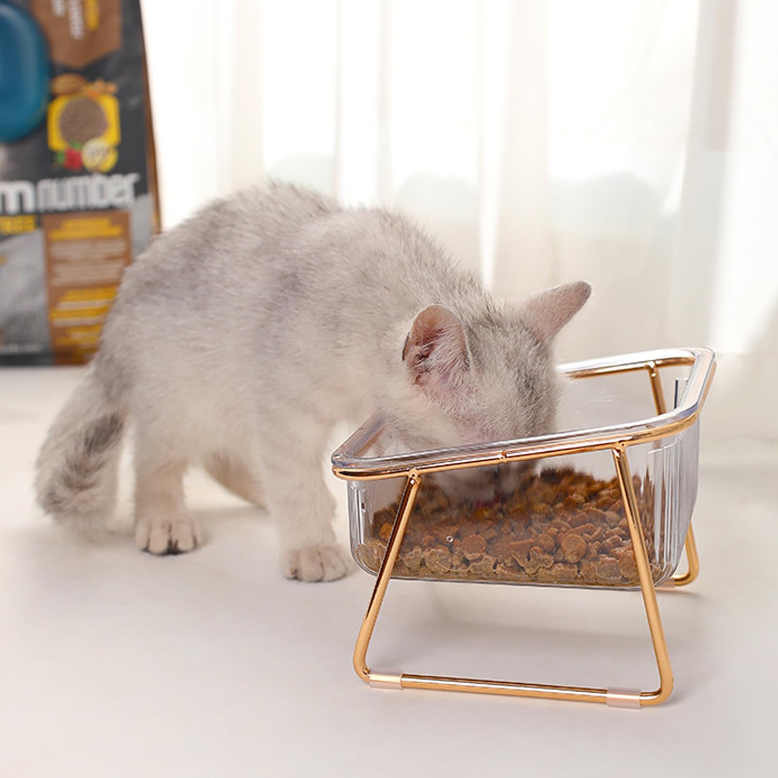 VERTUPET Raised Cat Bowl 15° Tilted Raised Dog Bowl with Iron Stand Tilted, Elevated Cat Bowl Food & Water Feeding Dish for Puppies and Small Dogs, with 1 Bowl and 4 Anti Slip Feet, Dishwasher Safe