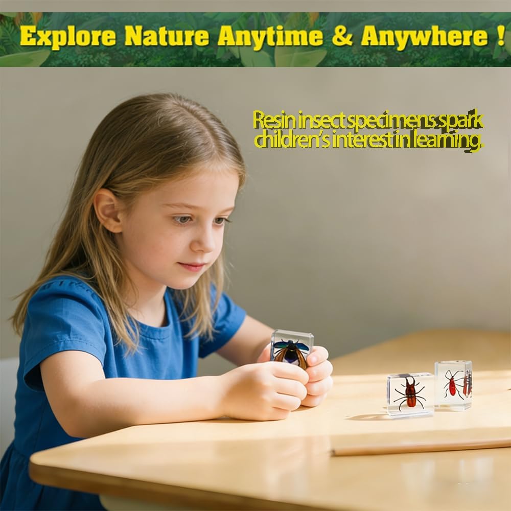 Insect in Resin Collection,Educational Bugs Specimen Set for Kids,Perfect for Preschool,Classroom Science and Home Displays (20 Insect Styles)