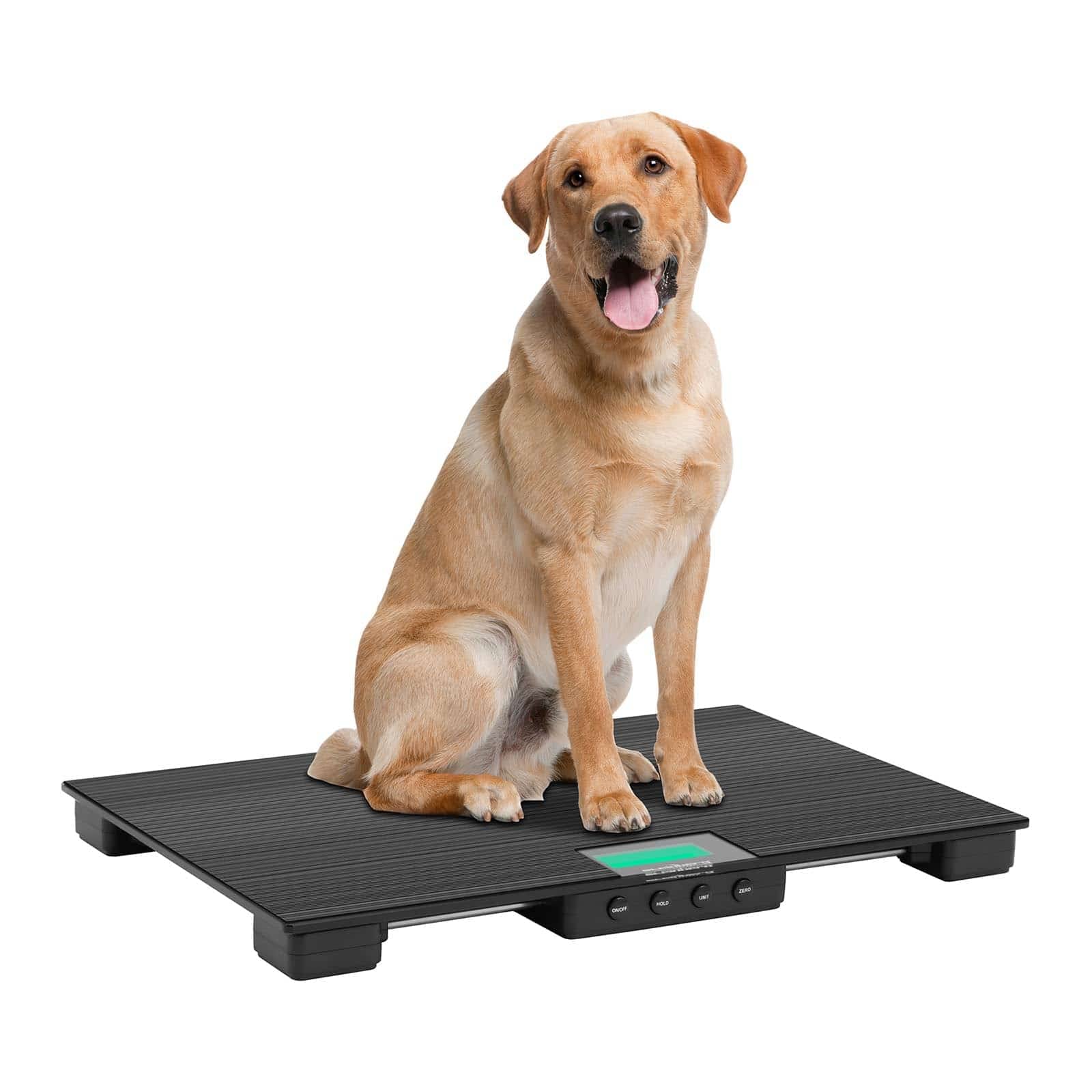 Steinberg Systems SBS-PS-30 Pèse-animaux 30 kg/10 g avec tapis antidérapant LCD pour petits animaux
