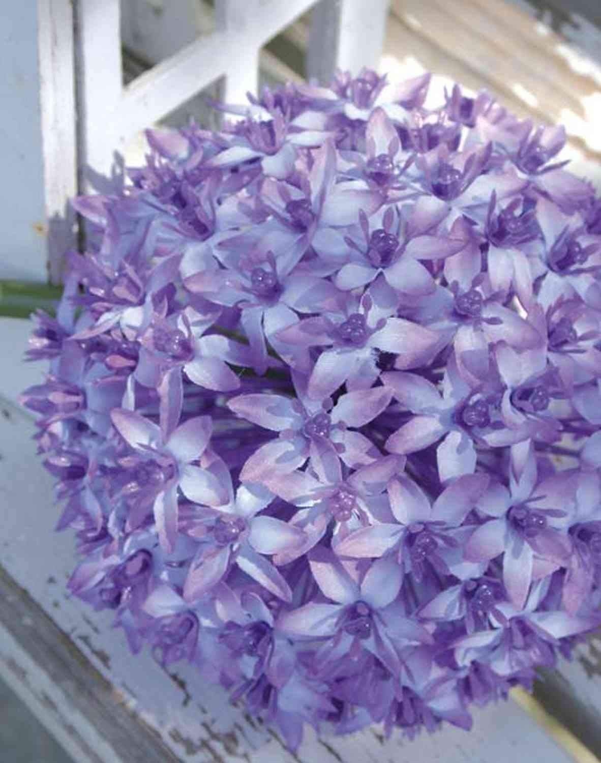 künstliches olivenbäumchen Künstlicher Olivenbaum naturgetreu 165cm – Katie Fischer main image 1