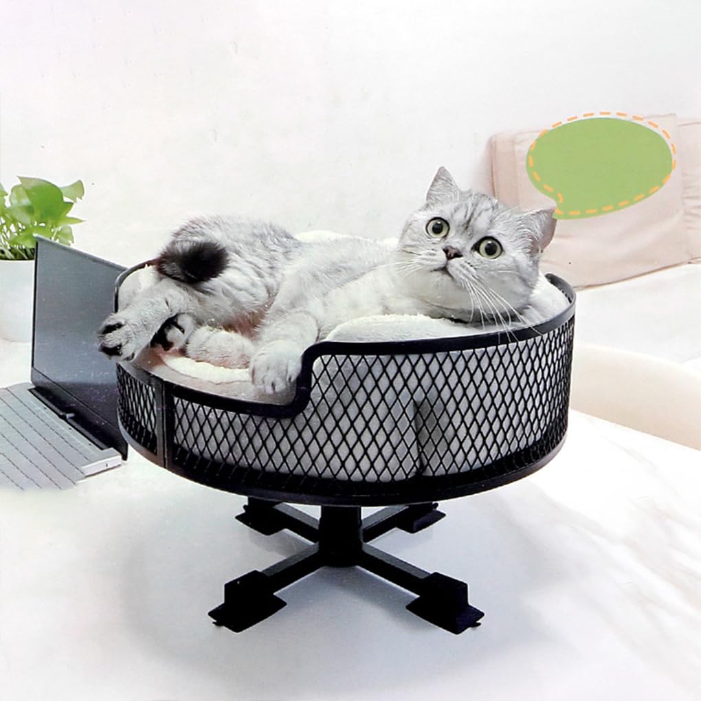 Aumenta la productividad de tu Gato Mientras disfrutas de