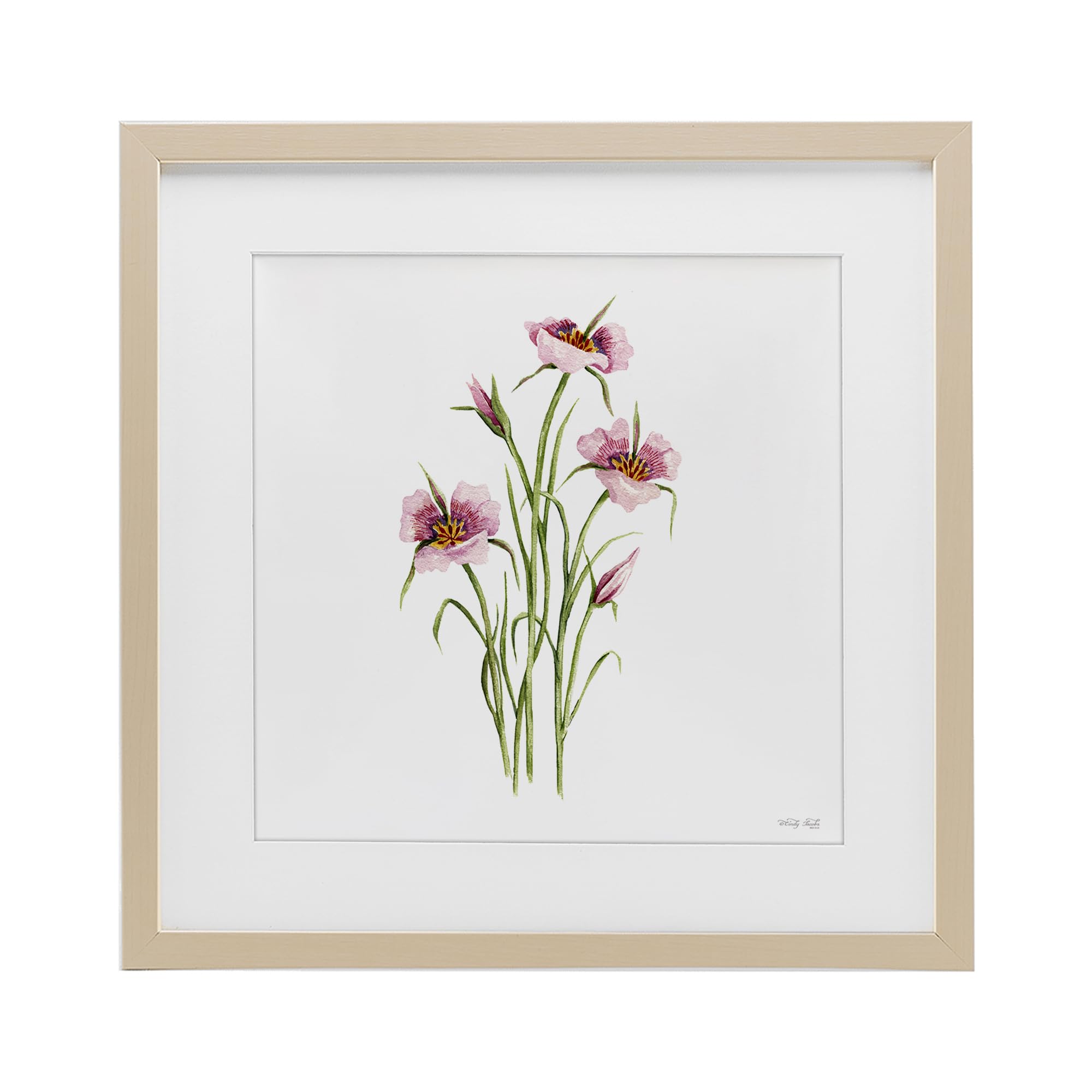 Affiche fuchsia mariposa pour raviver un mur blanc cadre noir sous verre