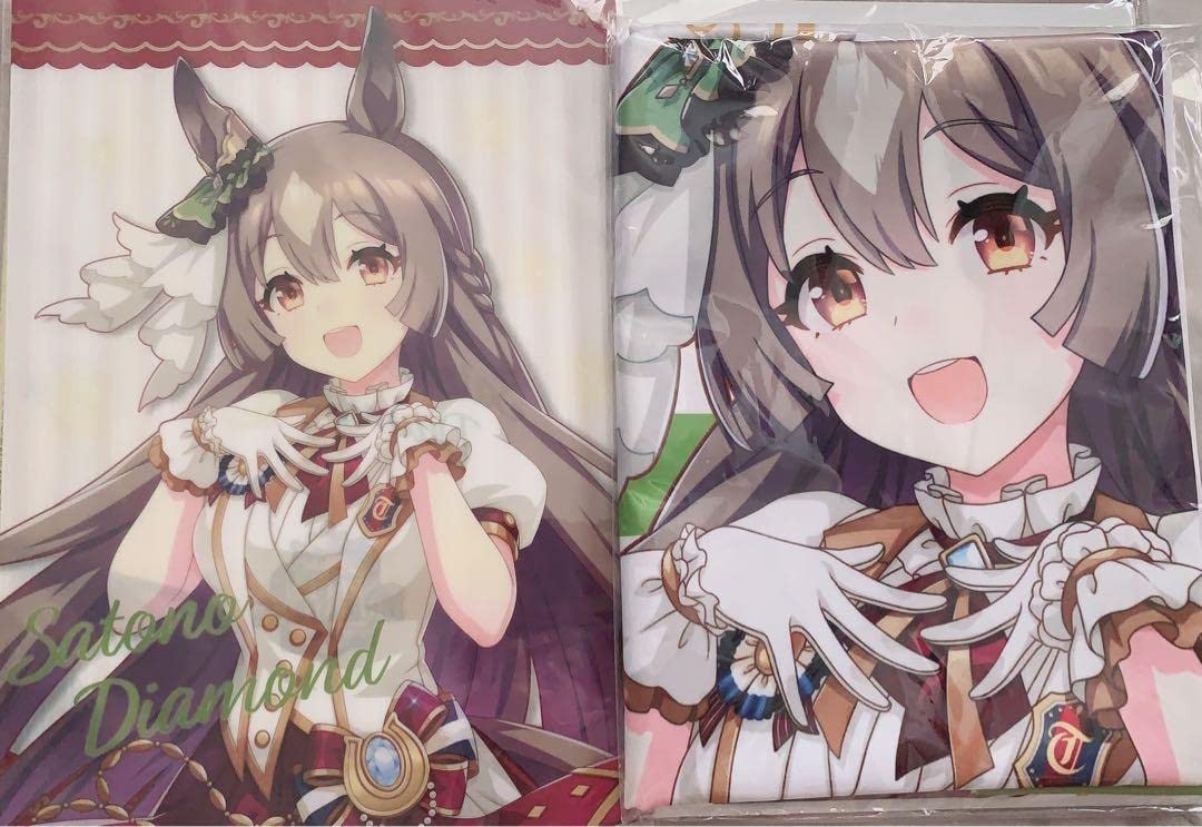 Amazon.co.jp: ウマ娘BIG布ポスター クリアファイル サトノ