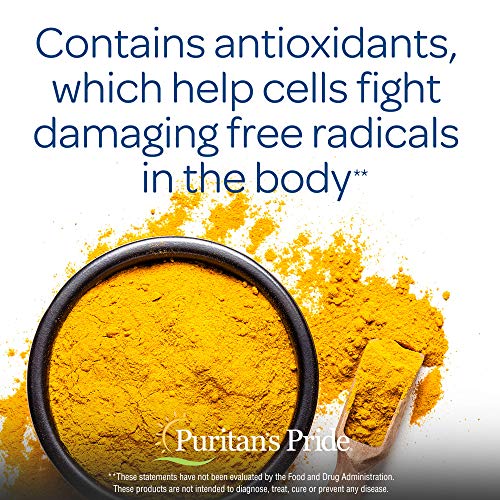 Puritan's Pride Turmeric Curcumin 500 Mg-180 Capsules #TOP4