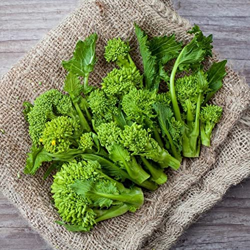 Contengono vitamine dei gruppi A B e C, acido folico, sali minerali, potassio e ferro