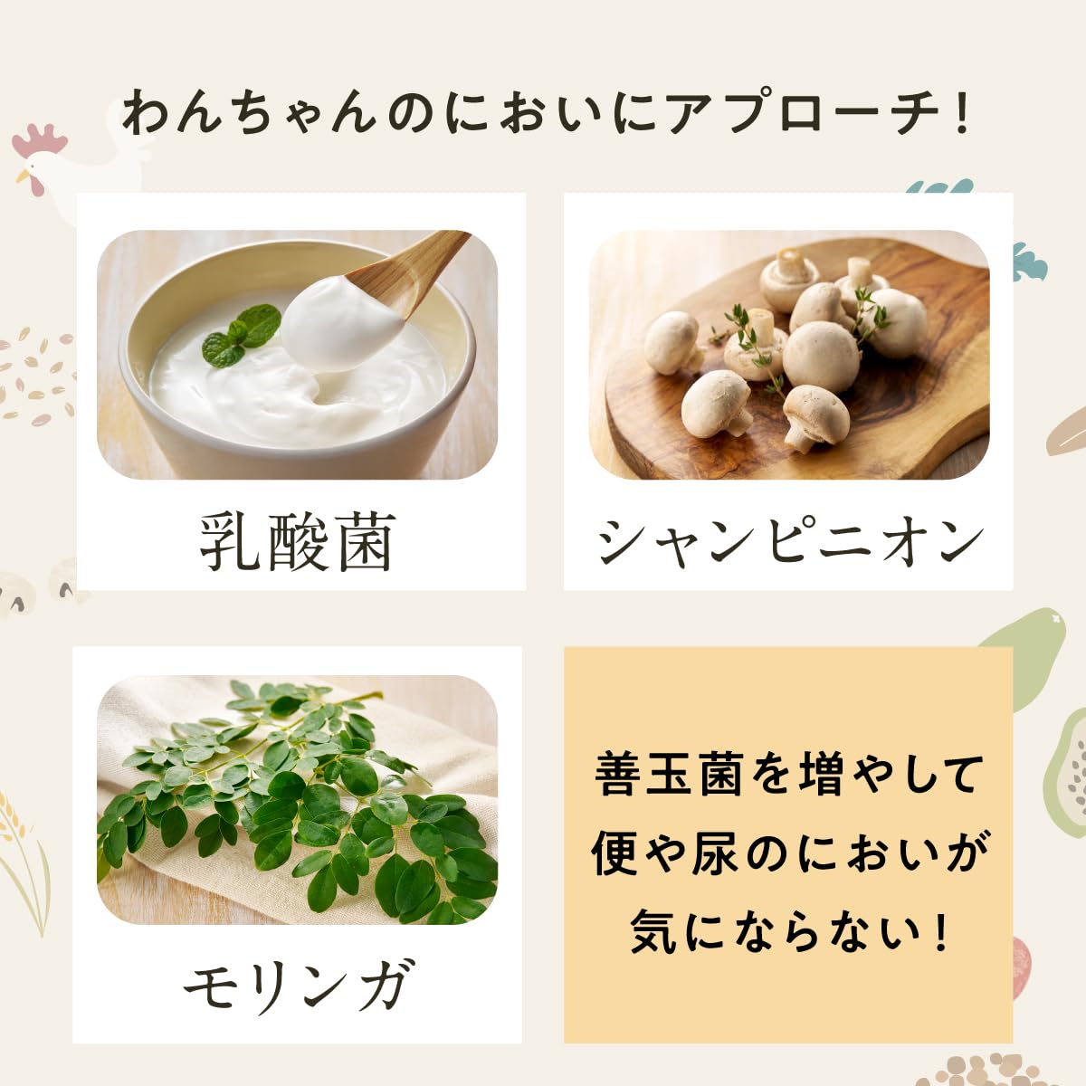 Amazon.co.jp: コノコトトモニ 大型犬のための このこのごはん
