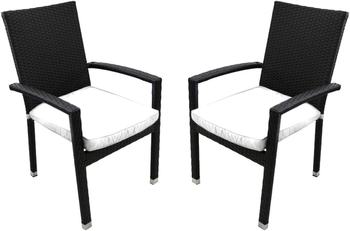 CC Outdoor Living Set of 2 Black Resin Wicker Outdoor Patio