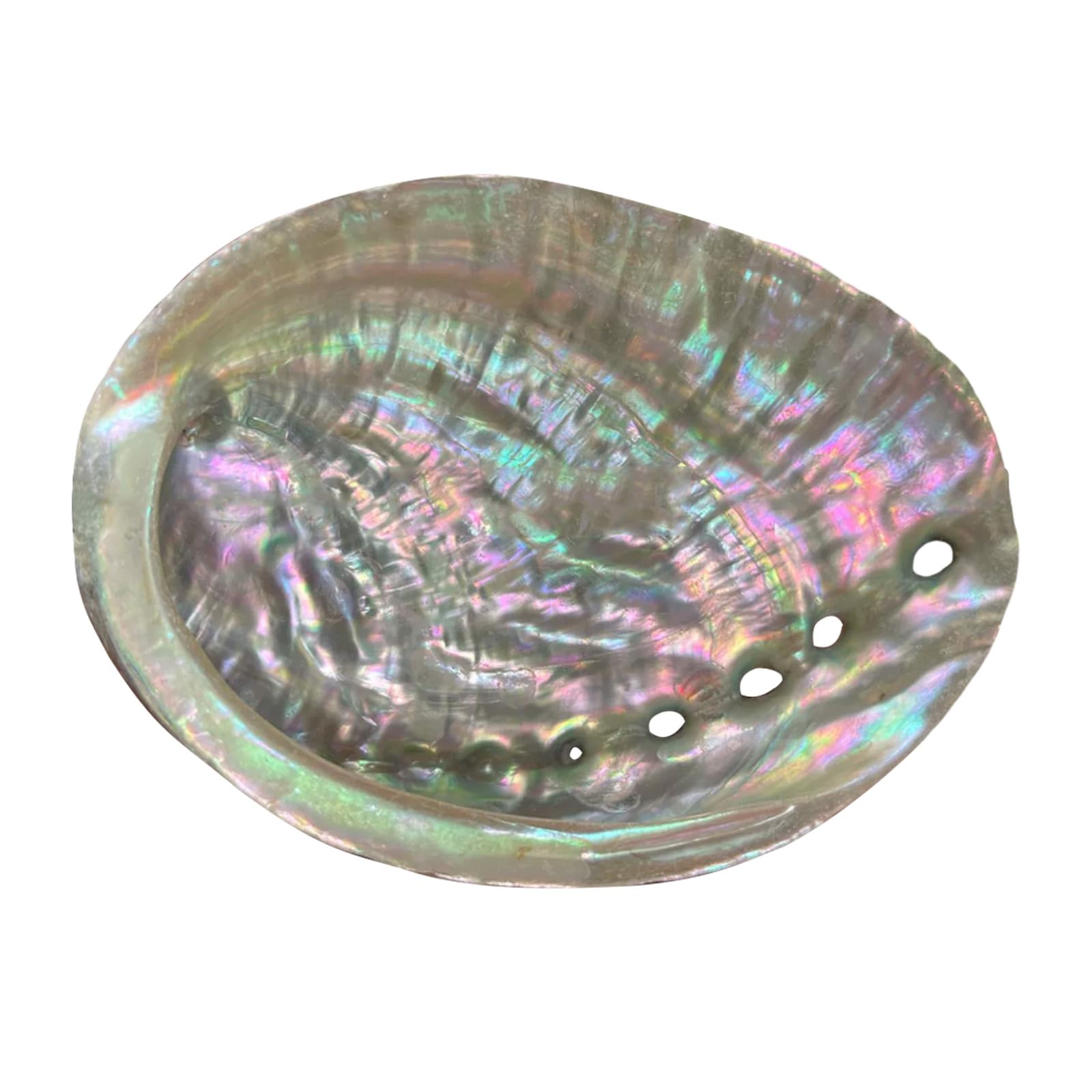 ZenithQuest 1 Pc Natural Abalone Shell Bowl, 4-4.5 Inch Iridescent Smudge Bowl for Sage Burning & Incense, Decorative Sea Shell Incense Holder for Home Decor & Display
