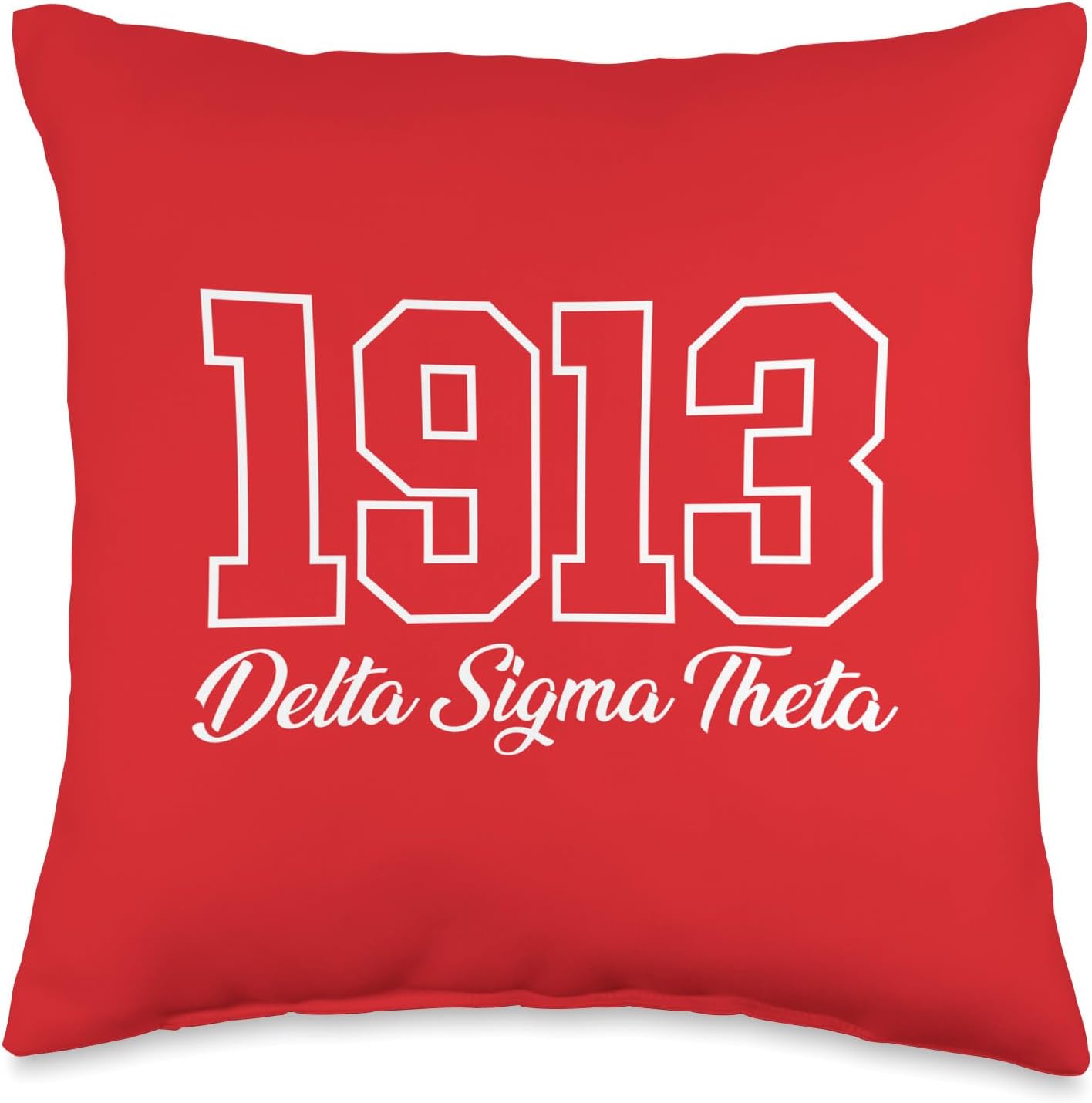Delta Sigma Theta Sorority Paraphernalia, Delta 1913 HBCU Throw Pillow