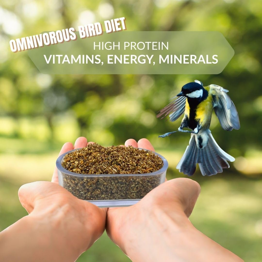 GLOBAL LUXURY MANAGEMENT Raff Patee with Insects 400g – Fruit and Berries Soft Food for Canaries, Finches, and Exotic Birds - High Protein Breeding and Molting Diet – Easy to Digest and Versatile Use