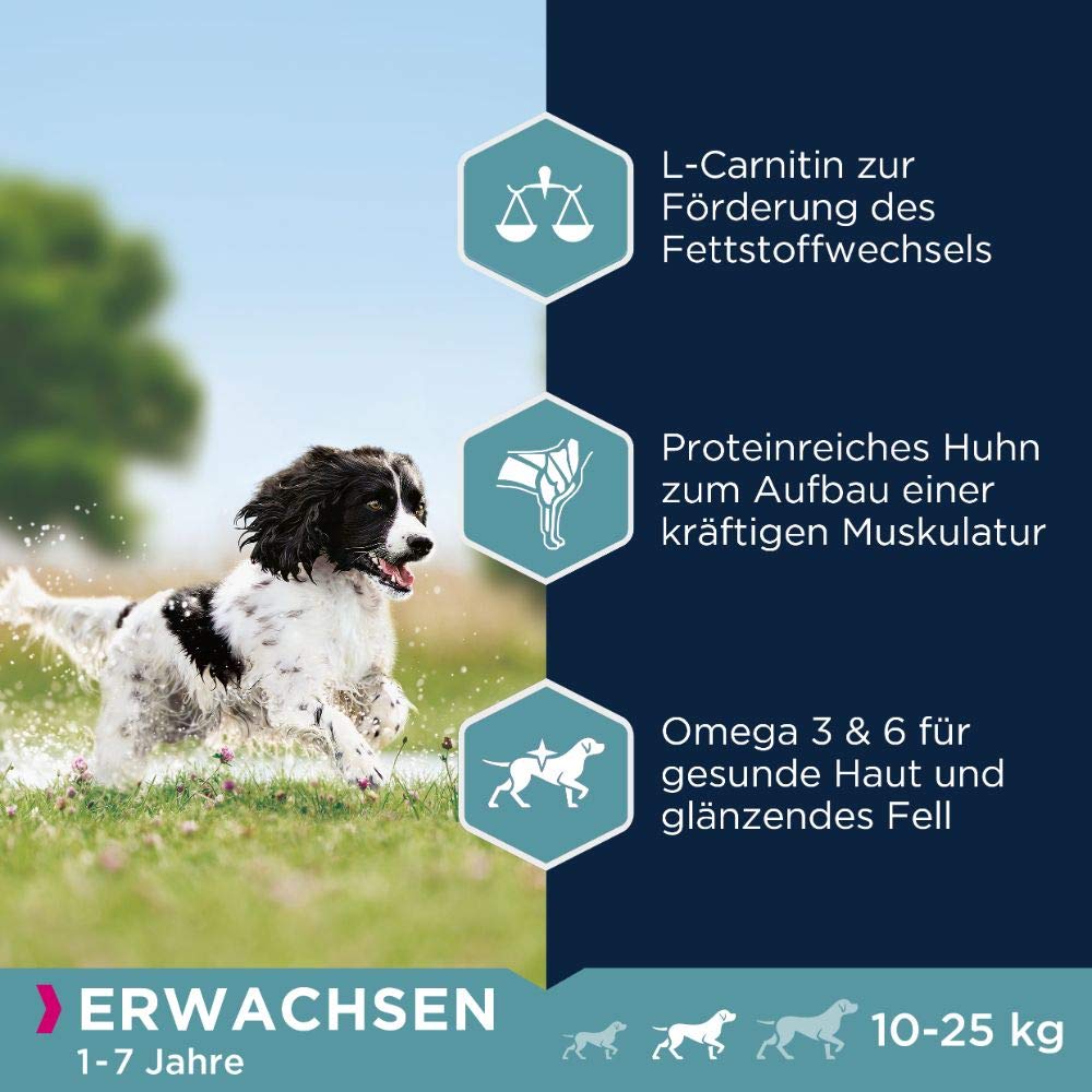 Eukanuba Hundefutter mit frischem Huhn für mittelgroße Rassen, Premium Trockenfutter für ausgewachsene Hunde, 15 kg
