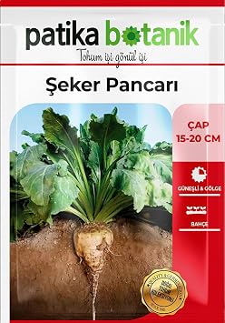 120 Adet Yerli Ata Şeker Pancarı Tohumu