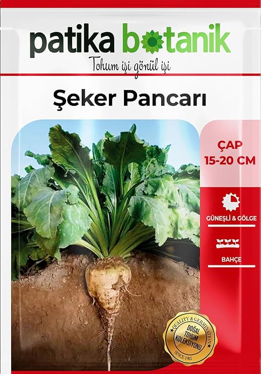 120 Adet Yerli Ata Şeker Pancarı Tohumu