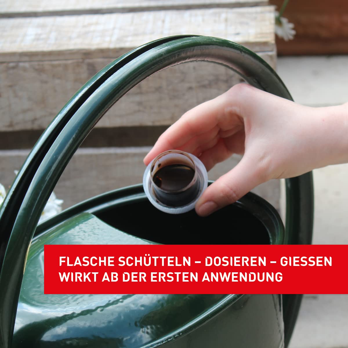 portugiesischer kirschlorbeer richtig düngen Purgrün Portugiesischer-Kirschlorbeer-Dünger 1 Liter main image 0