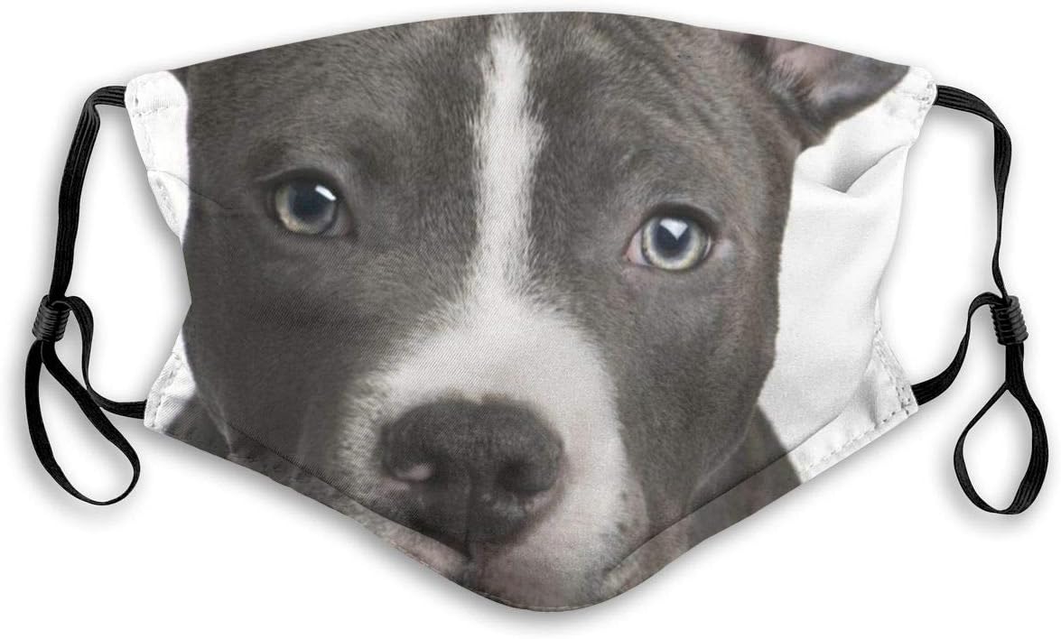 Mouth Shield with Filter American Pit Bull Printed Dust Face Shield for Dust Mouth Shield Anti-Dust Shield for Kids Women and Men