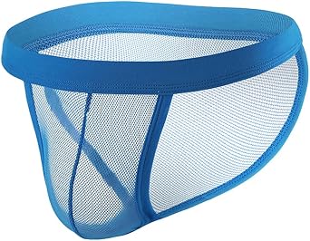 Mens Underwear Sexy Mesh See Through Boxer Briefs Low Rise Hollow Lingerie Boxers Trunks US, Alpha, XX-Large, Regular, Regular, Briefs/Blue