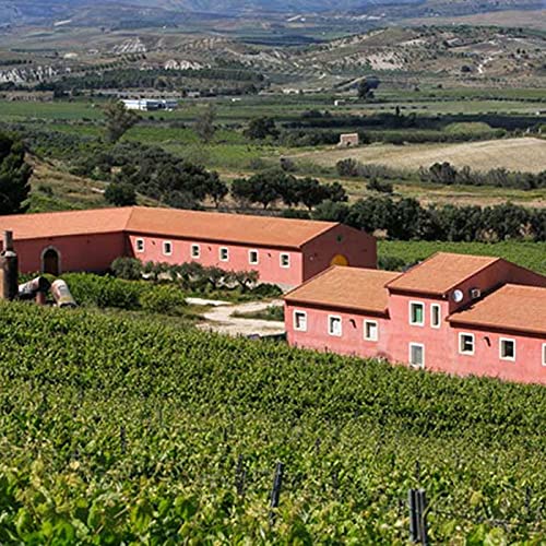tenuta_vitivinicola_agrigento_sicilia