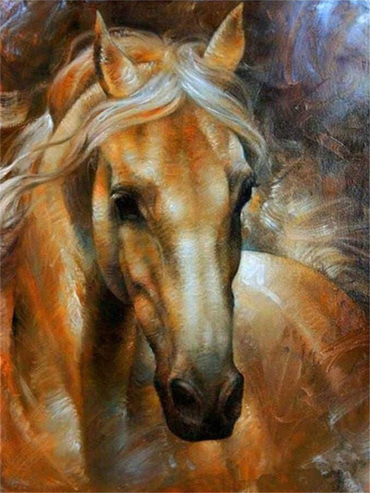DIY 5D Diamond Painting by Number Kits, Full Drill Crystal Rhinestone Embroidery Pictures Arts Craft for Home Wall Decoration 11.8 x 15.7 Inch (Horse)