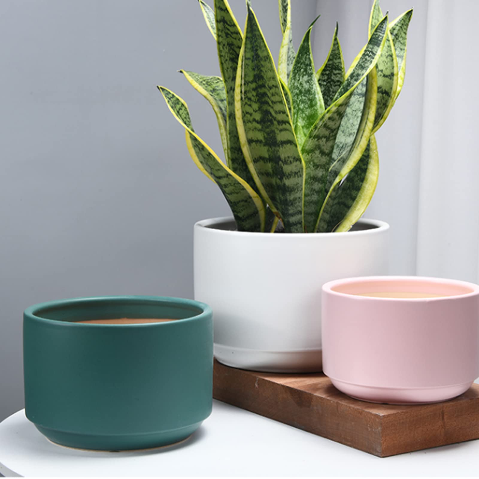 Vasi da Giardino Vasi per Piante in Ceramica per Interni, Vaso da Fiori Moderno con Foro di drenaggio e Vassoio in plastica, Contenitore per Fiori per Decorazioni per la casa e L'Ufficio