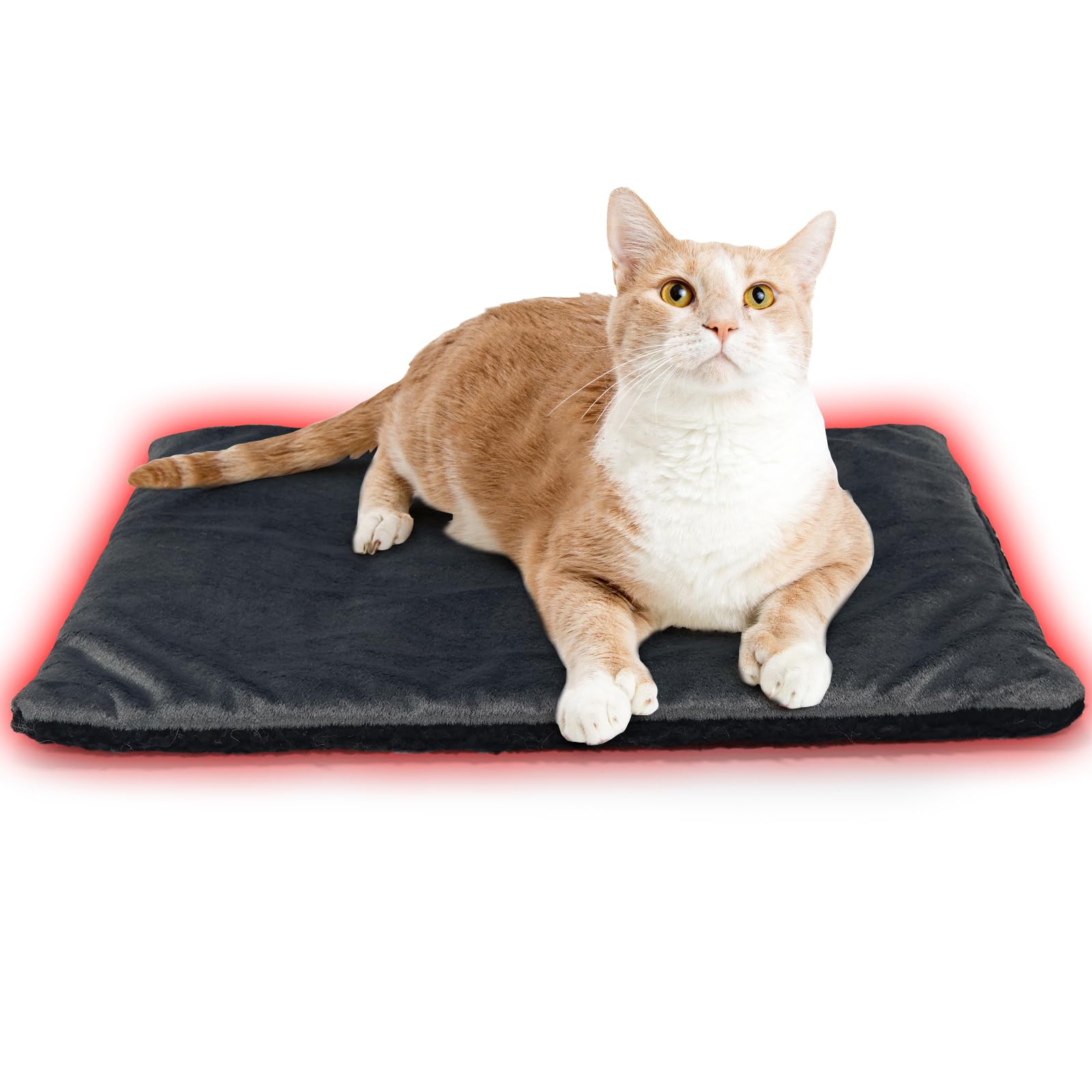 Amazon | MARUNDA ペットホットマット 電気不用 体温で蓄熱 54*40cm 猫