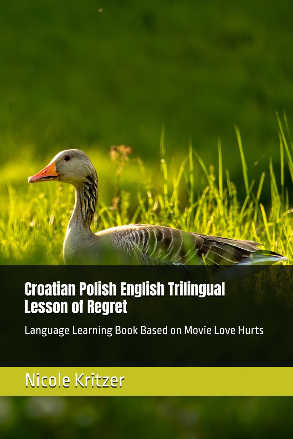 Croatian Polish English Trilingual Lesson of Regret: Language Learning Book Based on Movie Love Hurts