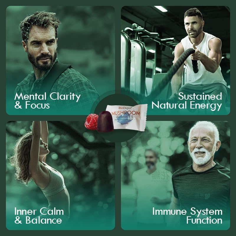 Miniatura 3 de Gomitas de múltiples hongos y suplemento 24 en 1 de apoyo diario, suplemento cerebral nootrópico que aumenta la memoria, la concentración, la