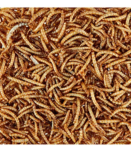 Dehner Natura Premium Wildvogelfutter, Wildvogelsnack, Getrocknete Mehlwürmer, Ganzjahresfutter proteinreich, hochwertiges Vogelfutter für Wildvögel, 500 g