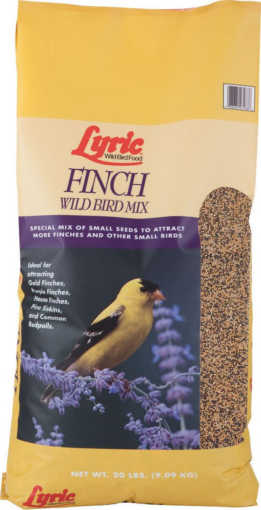 Lyric Finch - Semilla de pájaro cantor pequeño para comederos exteriores, atrae jilgueros, pinzones de casa y más, bolsa de 20 libras