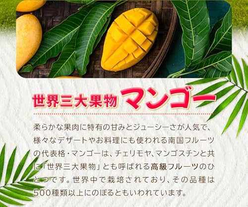 伊勢鳥羽志摩特産横丁 ドライマンゴー スライス 1kg