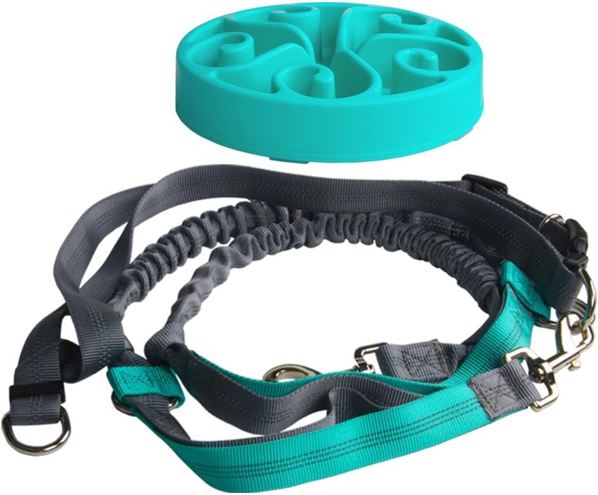 Frigidairenire Golden Tail Premium Hands Free Dog Bungee Leash Set - 4ft Dual Handle for Walking Running Biking and Hiking with Your Pet - Accessories Waist Belt Pouch w/ Poop Bag Roll Included.