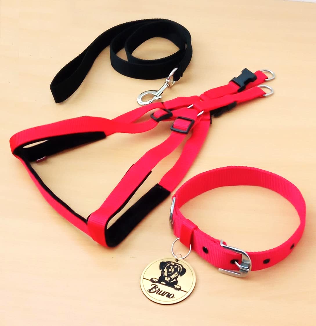 See full amazon price history chart for Kraftidy Dog Harness Collar Leash with Name tag id Customized Belt for Large, Medium Small Dogs Neck Collar and Leash Adjustable Harness with Personalized Dog Name (Red Black) (Medium Dogs) Kraftidy Dog Harness Collar Leash with Name tag id Customized Belt for Large, Medium Small Dogs Neck Collar and Leash Adjustable Harness with Personalized Dog Name (Red Black) (Medium Dogs) (B0B2X47KKY) Amazon Price History, Amazon Price Tracker