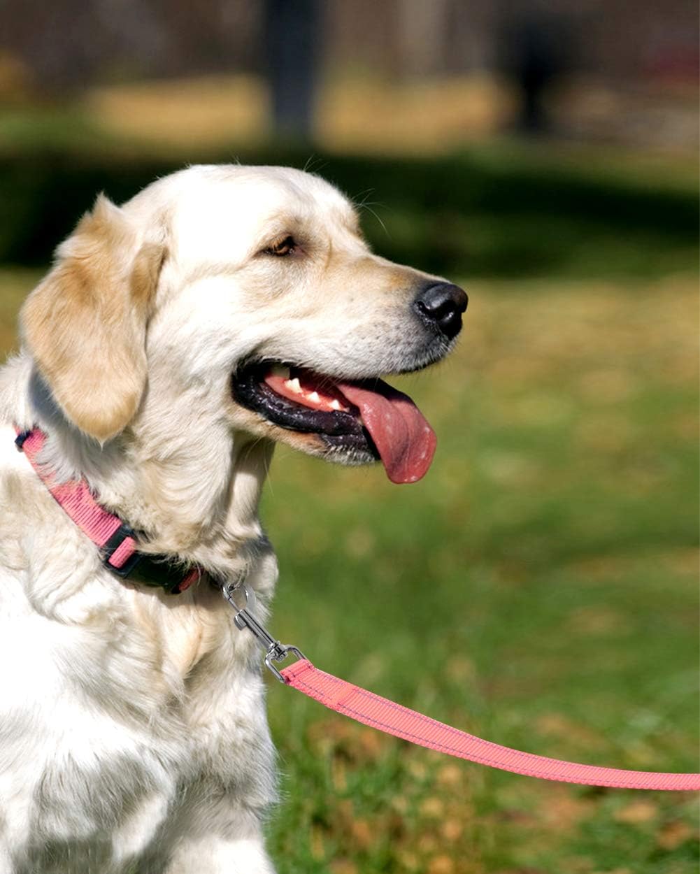 Taglory Dog Leads for Medium Large Dogs, Pink, 180x2.5 cm (Pack of 1) - Image 3