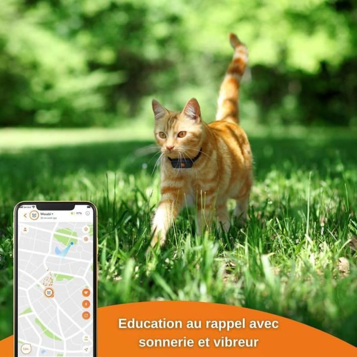 Weenect Collier GPS pour Chat XS (Black Edition 2023) | Suivi GPS en Temps réel | Plus Petit modèle du marché | Fonctionne avec abonnement | Garantie à Vie