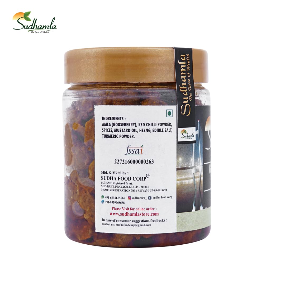 Sudhamla Dry Fruit Legacy Amla Candy with Honey - 100 gm | Tasty Sweet Snack | Organic Indian Gooseberry for Hair Growth, Skin Health, and Weight Loss | Pure Herbal Delicacy with Natural Honey 2