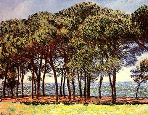 Tableaux d'art Monet en peinture à l'huile pour habiller un mur vide avec élégance